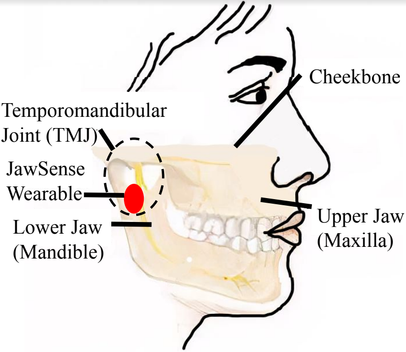 jawsense2